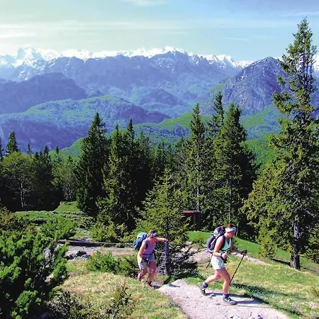 Oberallgau - Dal01048-sya